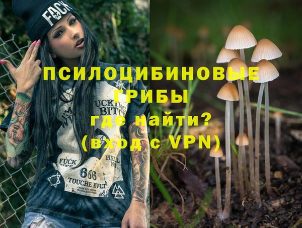 ALPHA PVP Аркадак