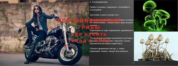 дмт Армянск
